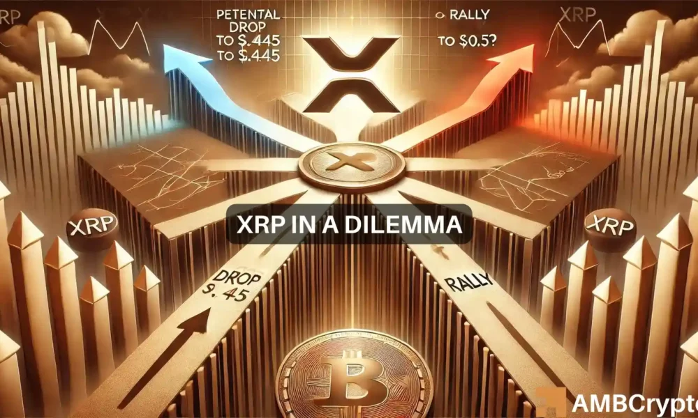 XRP处于十字路口：下一步是跌至0.445美元，还是反弹至0.5美元？图标