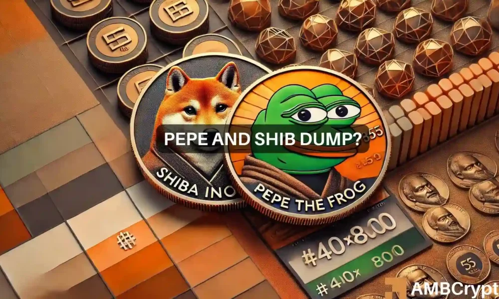 Pepe、Shiba因纽特人用2600万美元的外汇存款搅乱了局面图标