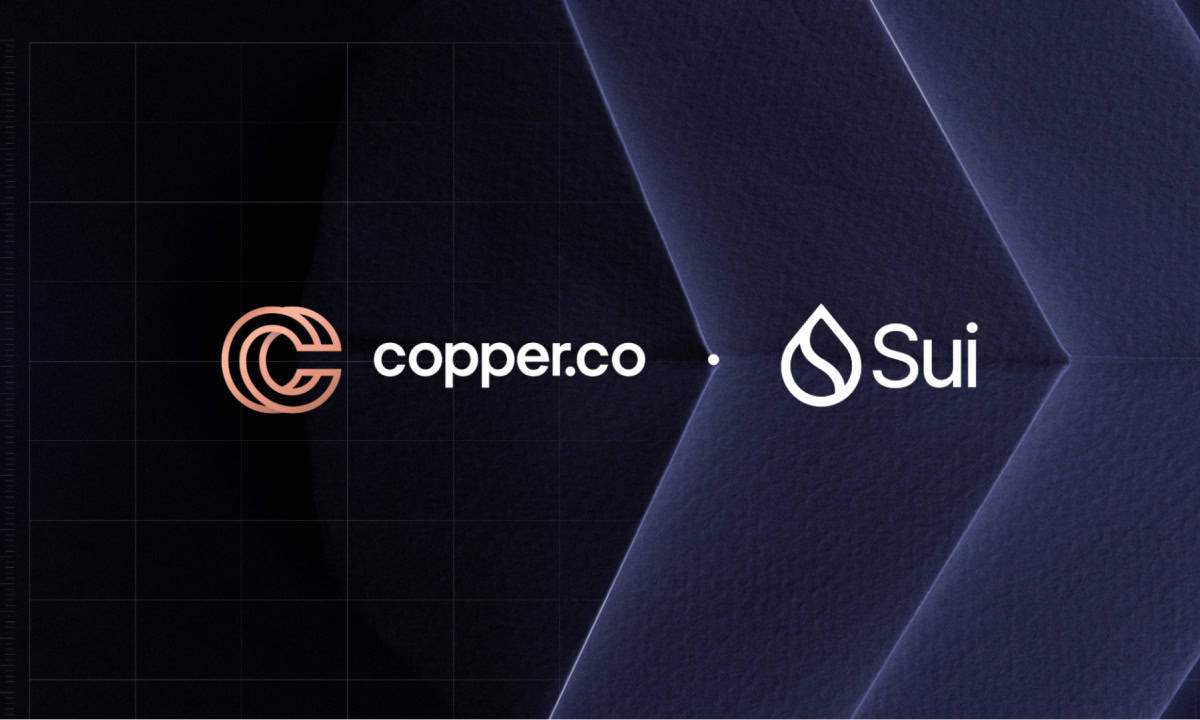 Copper&Sui合作伙伴将打造全面的机构可及性图标