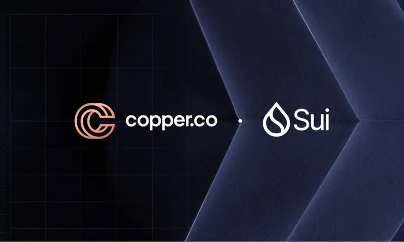 Copper&Sui合作伙伴建立全面的机构可及性图标