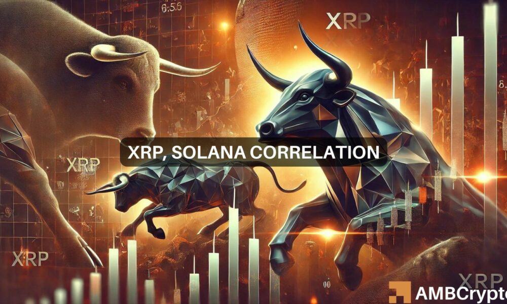 XRP的看涨举措——以下是索拉纳的角色图标