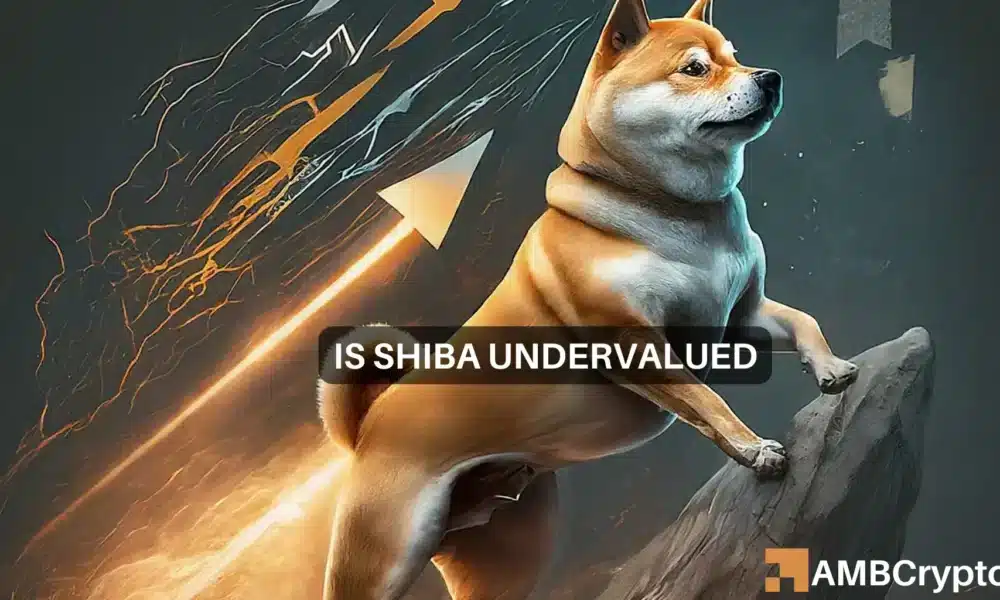 Shiba Inu的价格——是否低估取决于这一因素图标