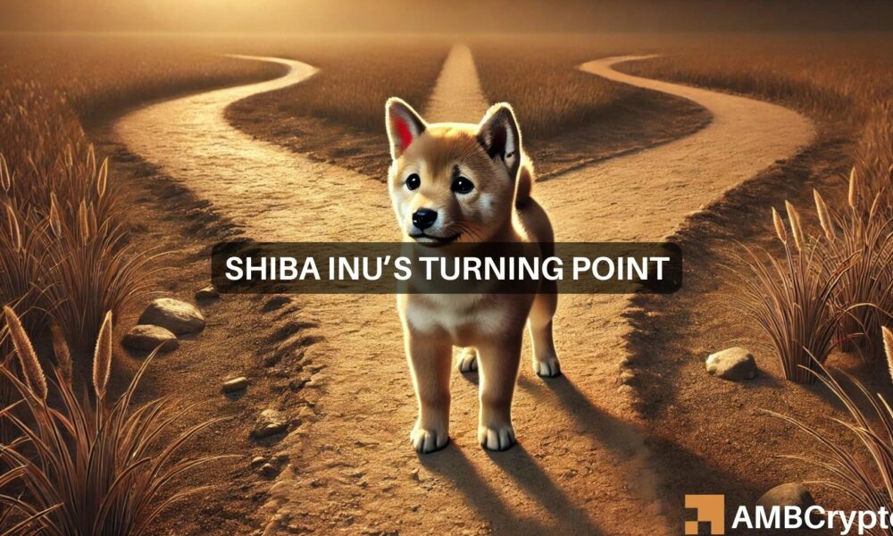 Shiba Inu：SHIB能克服38%的下跌吗？指标显示…图标