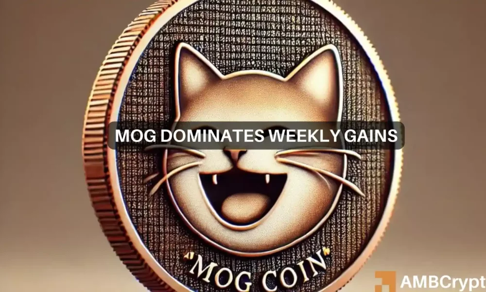 Mog coin 7天内暴涨100%：Mog的牛市还会继续吗？图标