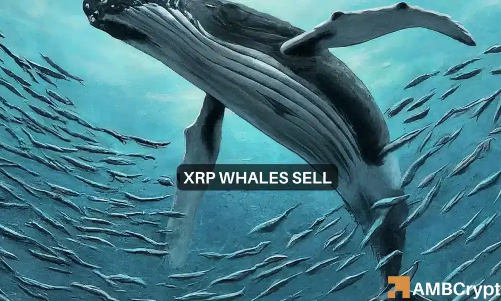 XRP鲸鱼观察：随着6300万代币的移动，抛售是否即将到来？图标