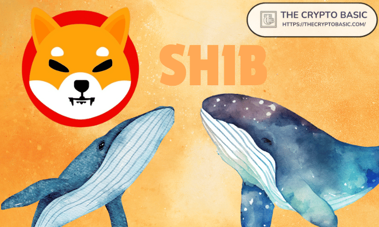 Shiba Inu跌至0.000015美元，新钱包从币安累积58377712556 SHIB图标