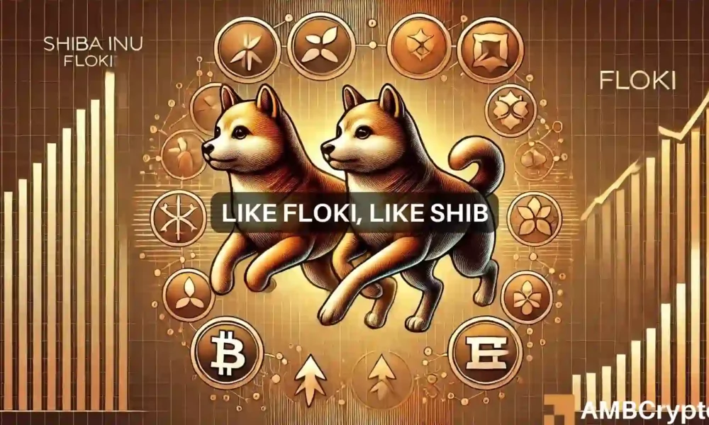 FLOKI与Shiba Inu的相关性对其价格意味着什么图标