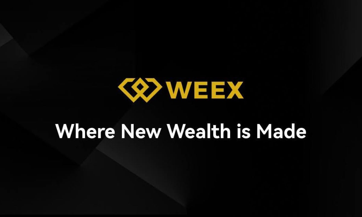 WEEX交易所：用零费用现货和高级安全性彻底改变加密交易图标