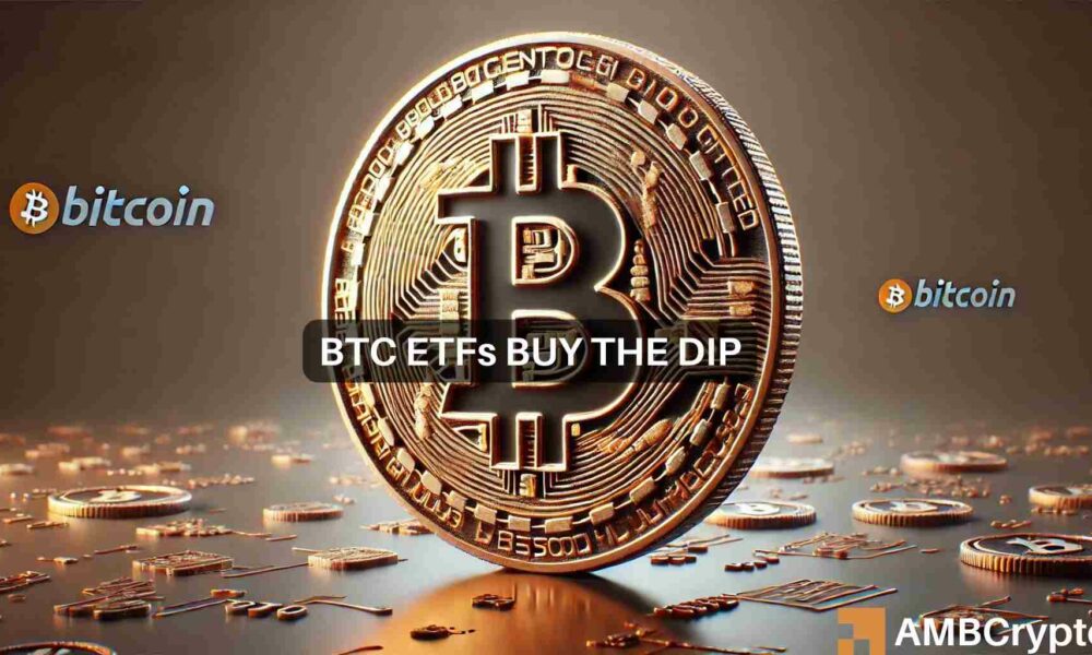 比特币ETF：尽管BTC下跌了20%，但仍“艰难前行”：以下是如何做到的图标