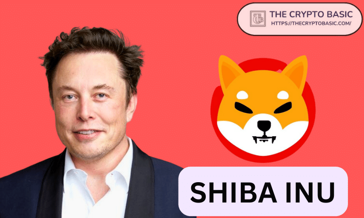 Shiba Inu和Elon Musk可能很快就会接近会面图标