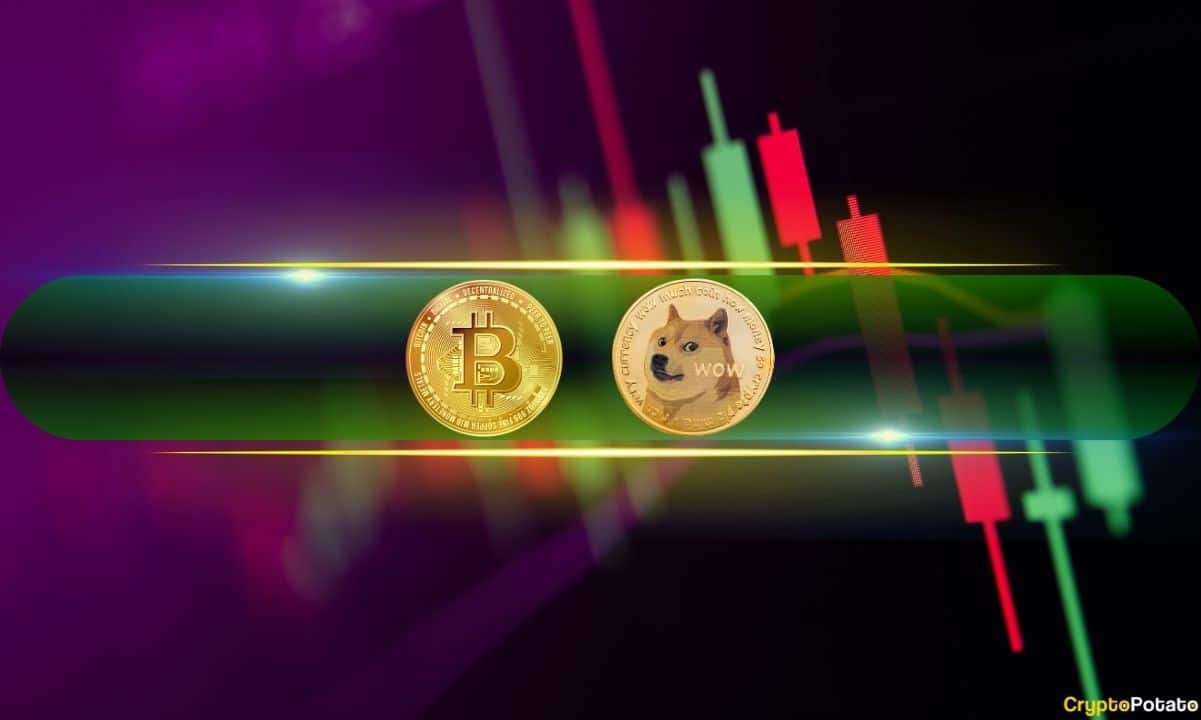 BTC价格9天来首次触及6万美元，DOGE和SHIB上涨4%（周末观察）图标