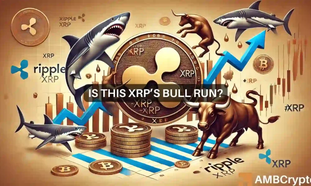 XRP会达到0.63美元吗？鲸鱼、鲨鱼如何帮助山寨币反弹图标