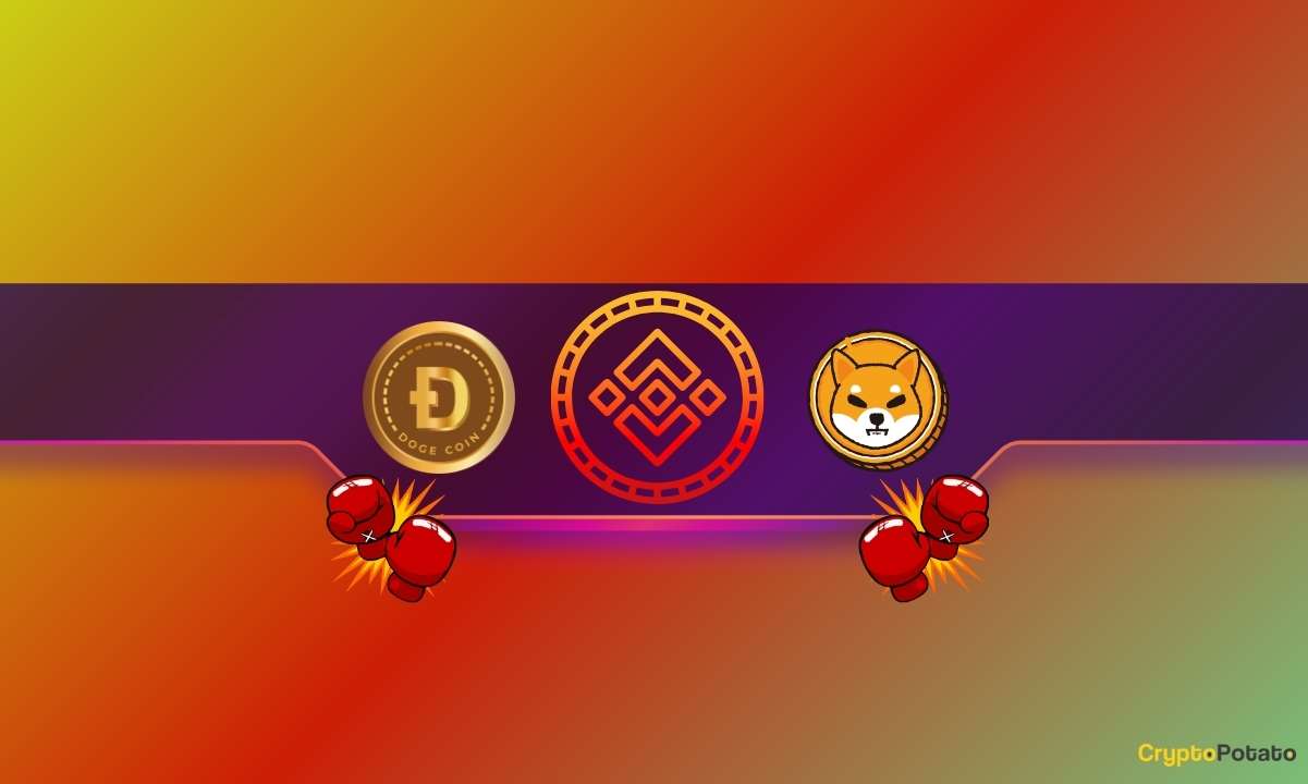 关于Shiba Inu（SHIB）和Dogecoin（DOGE）交易者的大型币安公告：详细信息图标