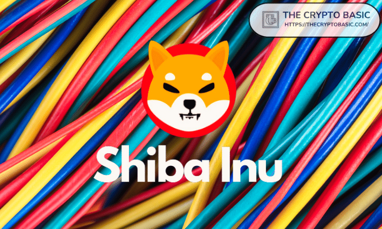 Shiba Inu现在支持顶级区块链数据协议图标