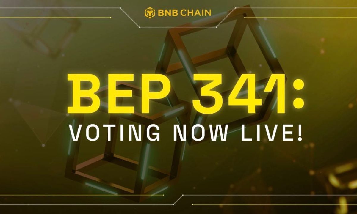 BNB-Chain宣布对BEP-341进行公开投票，以提高区块链的效率和安全性图标