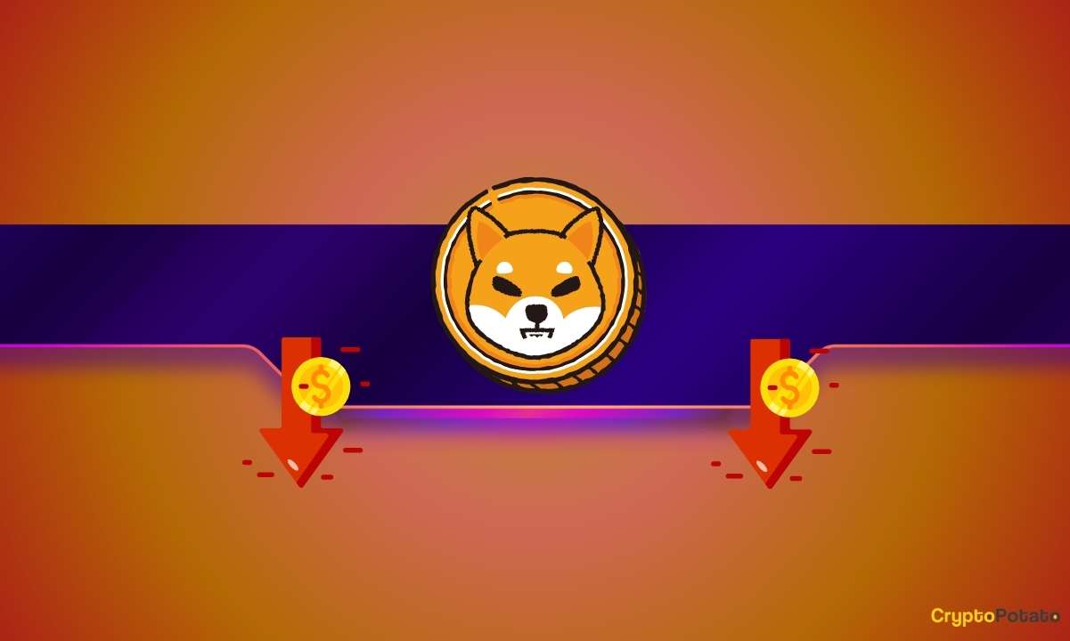 Shiba Inu（SHIB）有麻烦吗？重大交易所攻击导致数百万损失图标