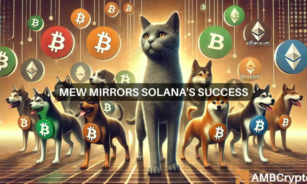 为什么Solana的MEW可能是本周你的首选模因币图标