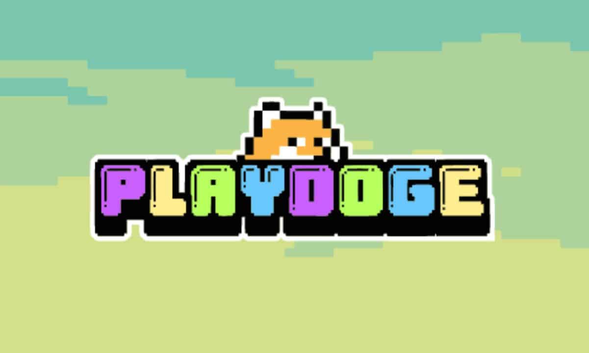 猫在狗的世界泵超过40%，因为PlayDoge ICO接近600万美元图标