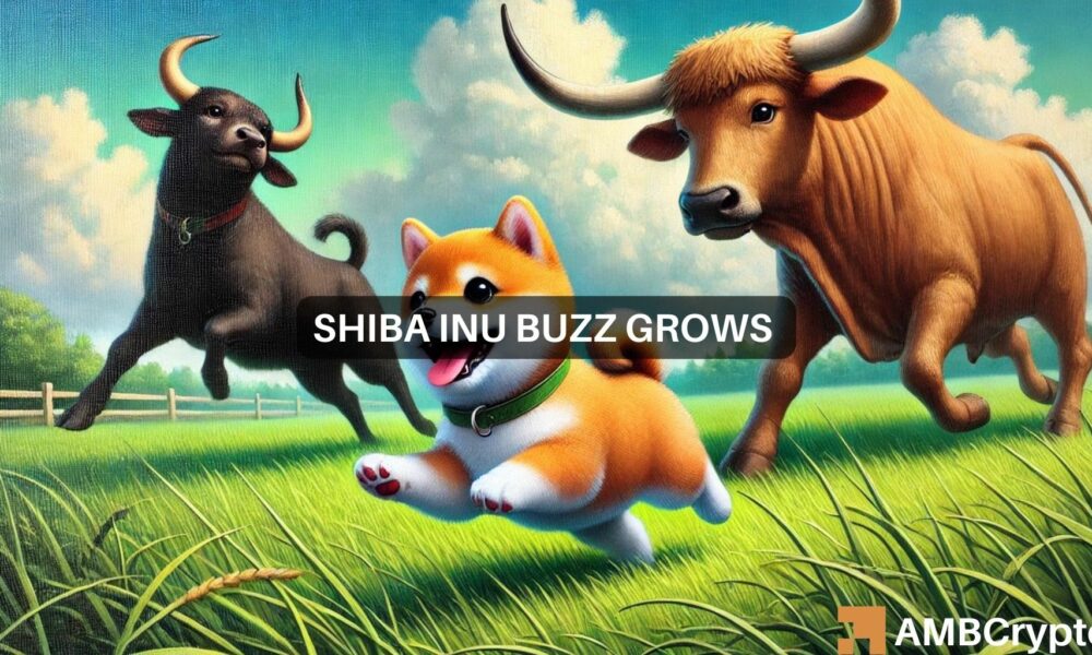 检查Shiba Inu的市场动态：交易量困境对比特币的提振图标