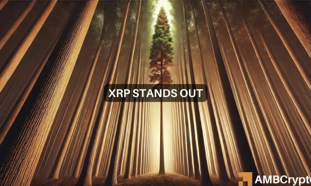 XRP能否逆转熊市趋势？关键见解显示…图标