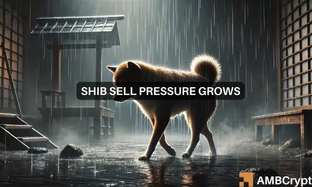 Shiba Inu价格预测：为什么8月对SHIB交易员来说可能存在风险图标