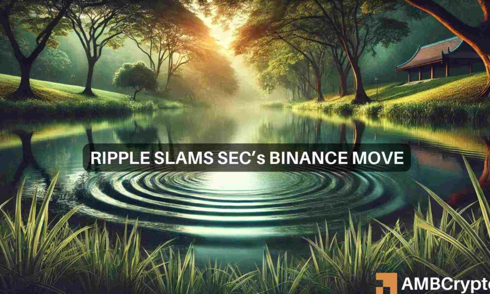 Solana，Cardano在SEC Binance案中“未被处理”，Ripple高管声称图标