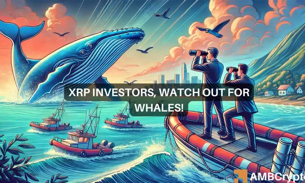 XRP鲸鱼从交易所转移了1.57亿个代币——买入信号？图标