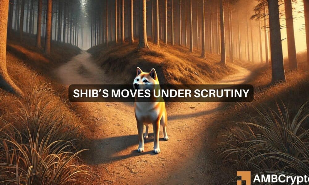 Shiba Inu上涨28%：SHIB在改变路径后会保持牛市吗？图标