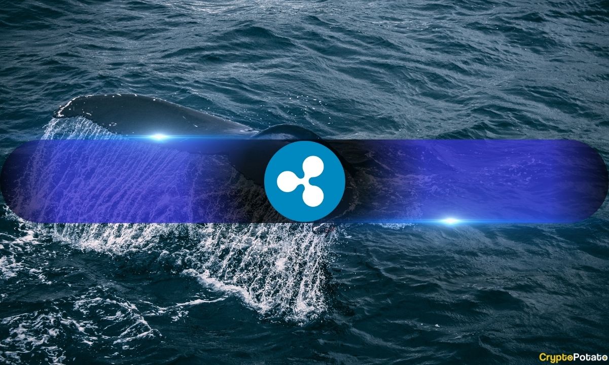 XRP Whale Holdings在Ripple诉SEC诉讼更新中创下历史新高图标