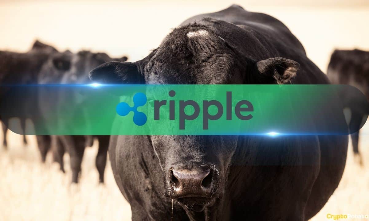 Ripple Labs XRP的4个长期牛市信号图标