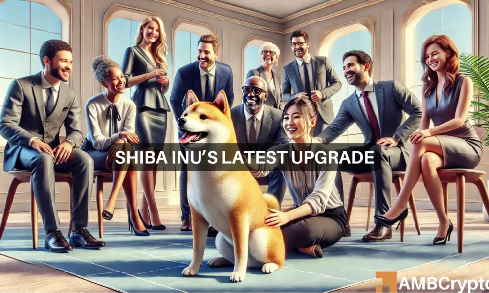 Shiba Inu的最新硬分叉——识别其潜在的价格影响图标