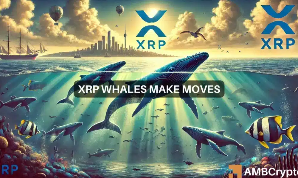 XRP抛售即将到来？鲸鱼倾倒了4600万枚代币，这意味着…图标