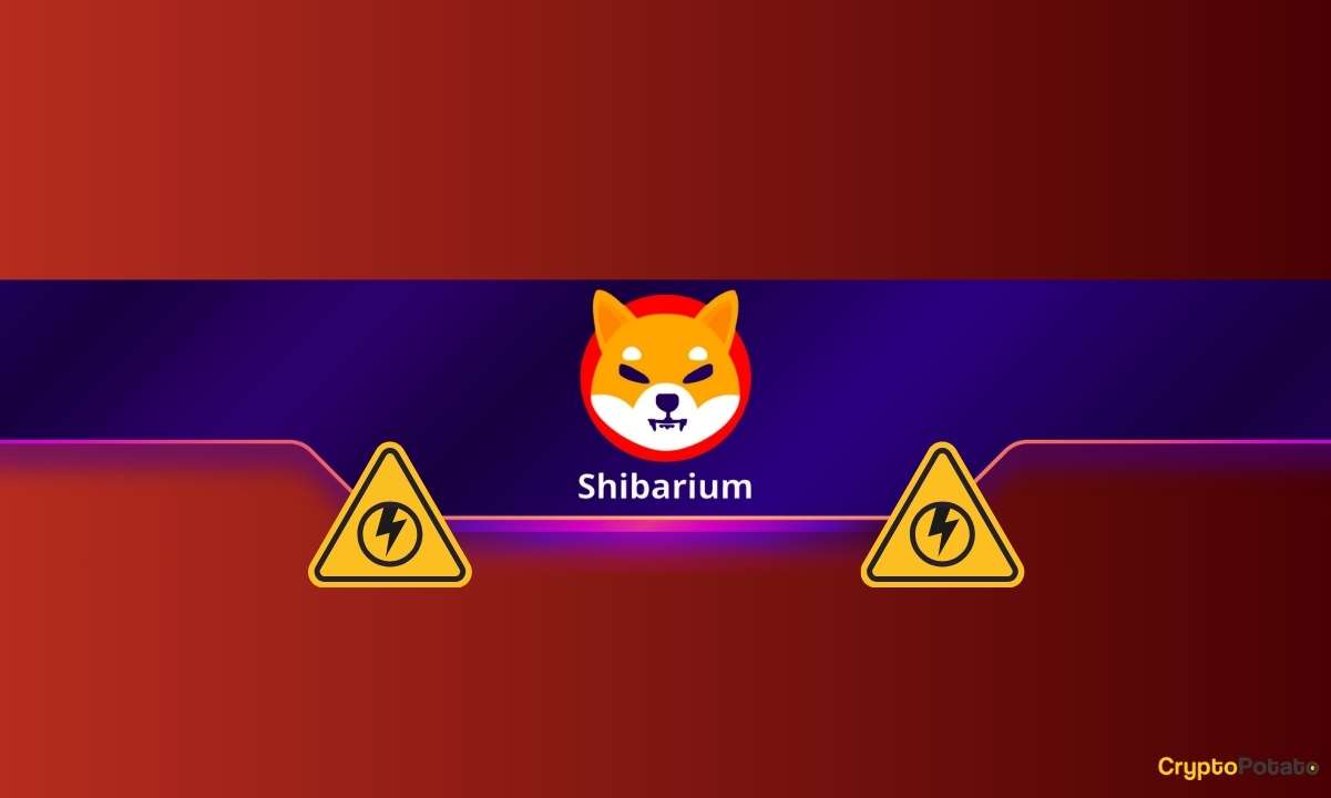 Shiba Inu（SHIB）团队的严重警告：小心图标