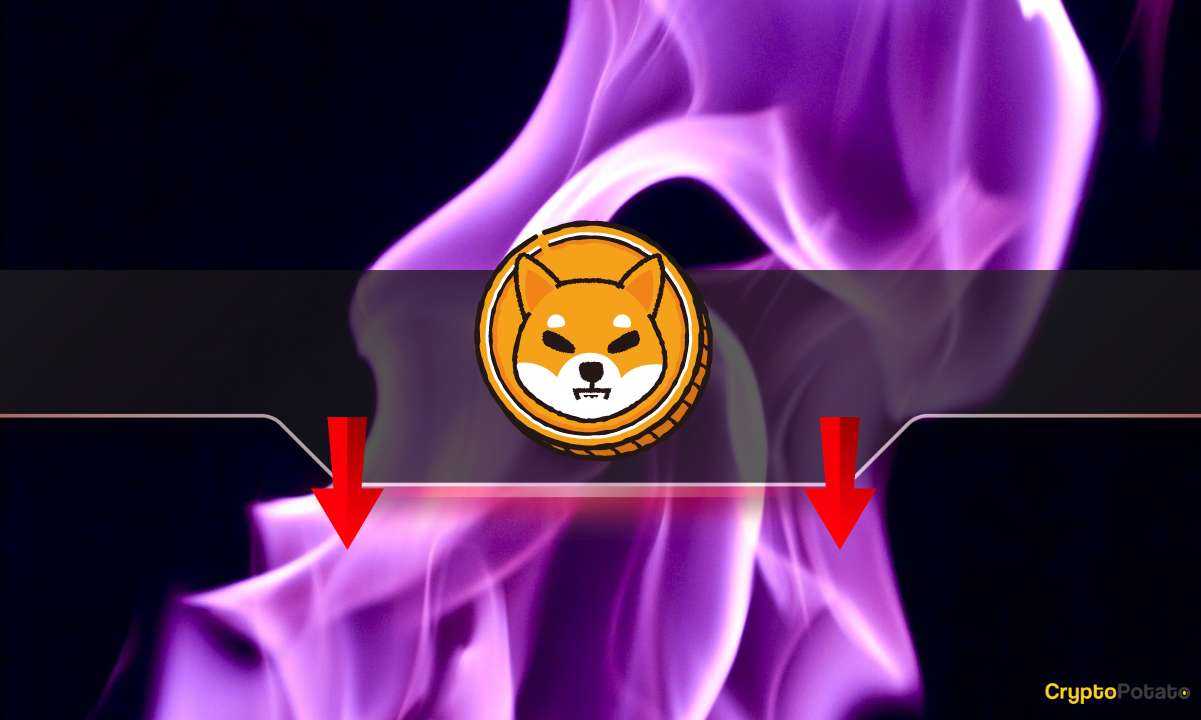 Shiba Inu燃烧率暴跌90%：SHIB价格是否处于危险之中？图标