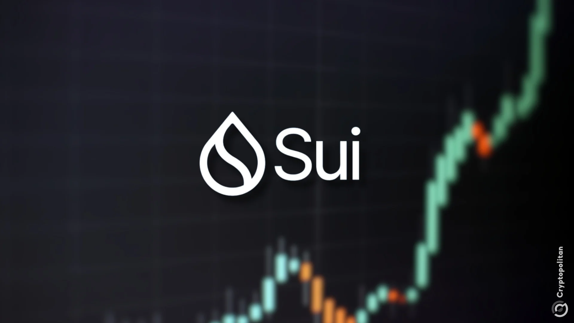 SUI反弹，DeFi价值锁定一个月翻倍- 币界网