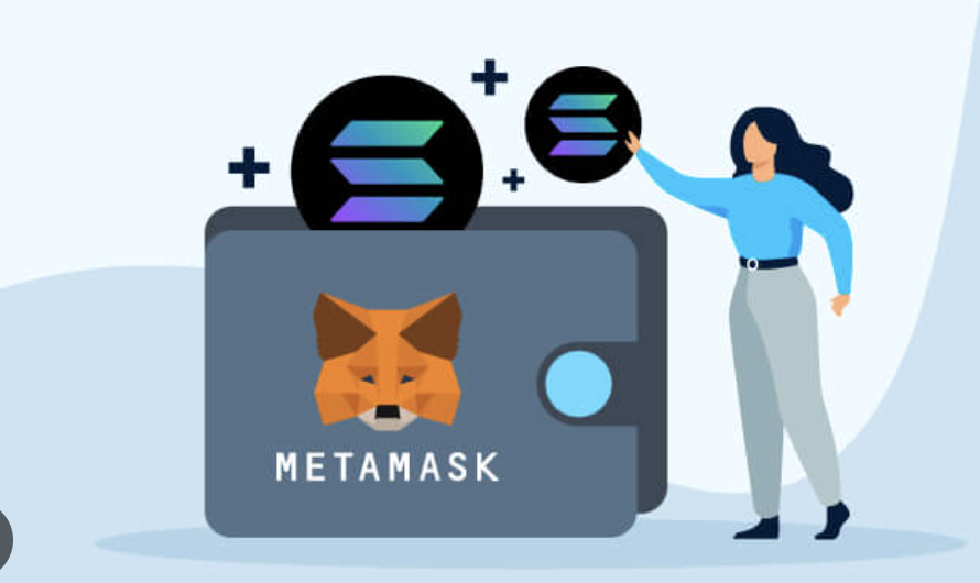 Does MetaMask Support solana?