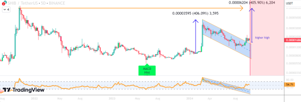 Shiba Inu price prediction per without worries