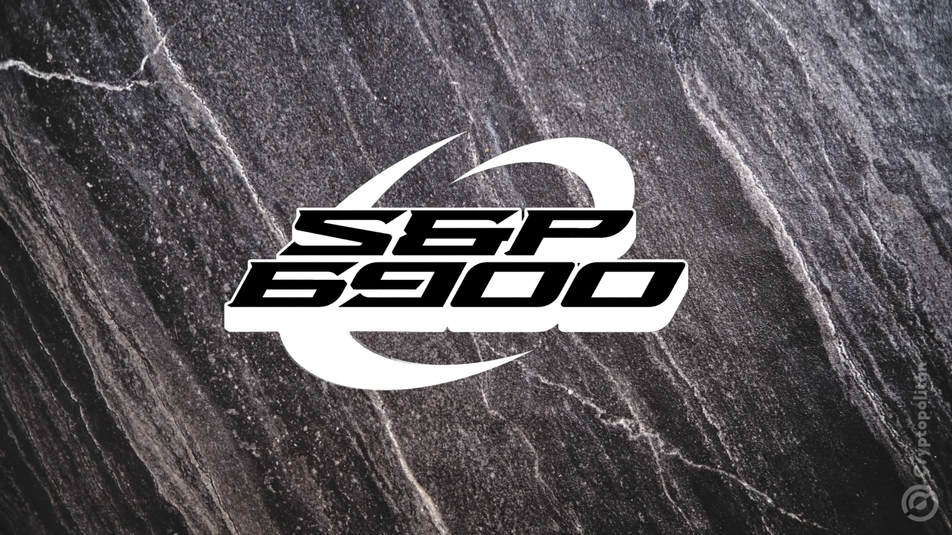 SPX6900（SPX）meme代币最终进入贝莱德的钱包- 币界网