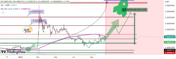 Shiba Inu Price Target per MMBTtrader