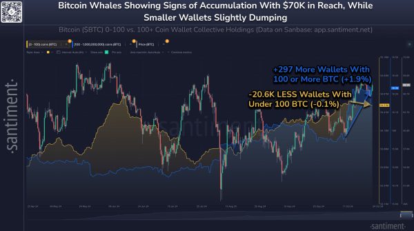 Whale Uptick per Santiment