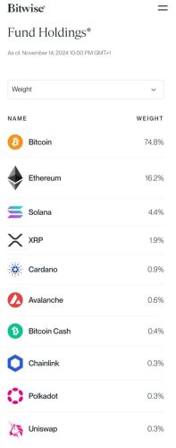 BITW holdings