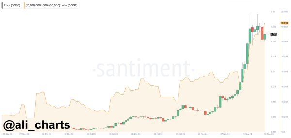 Dogecoin Whale Accumulation