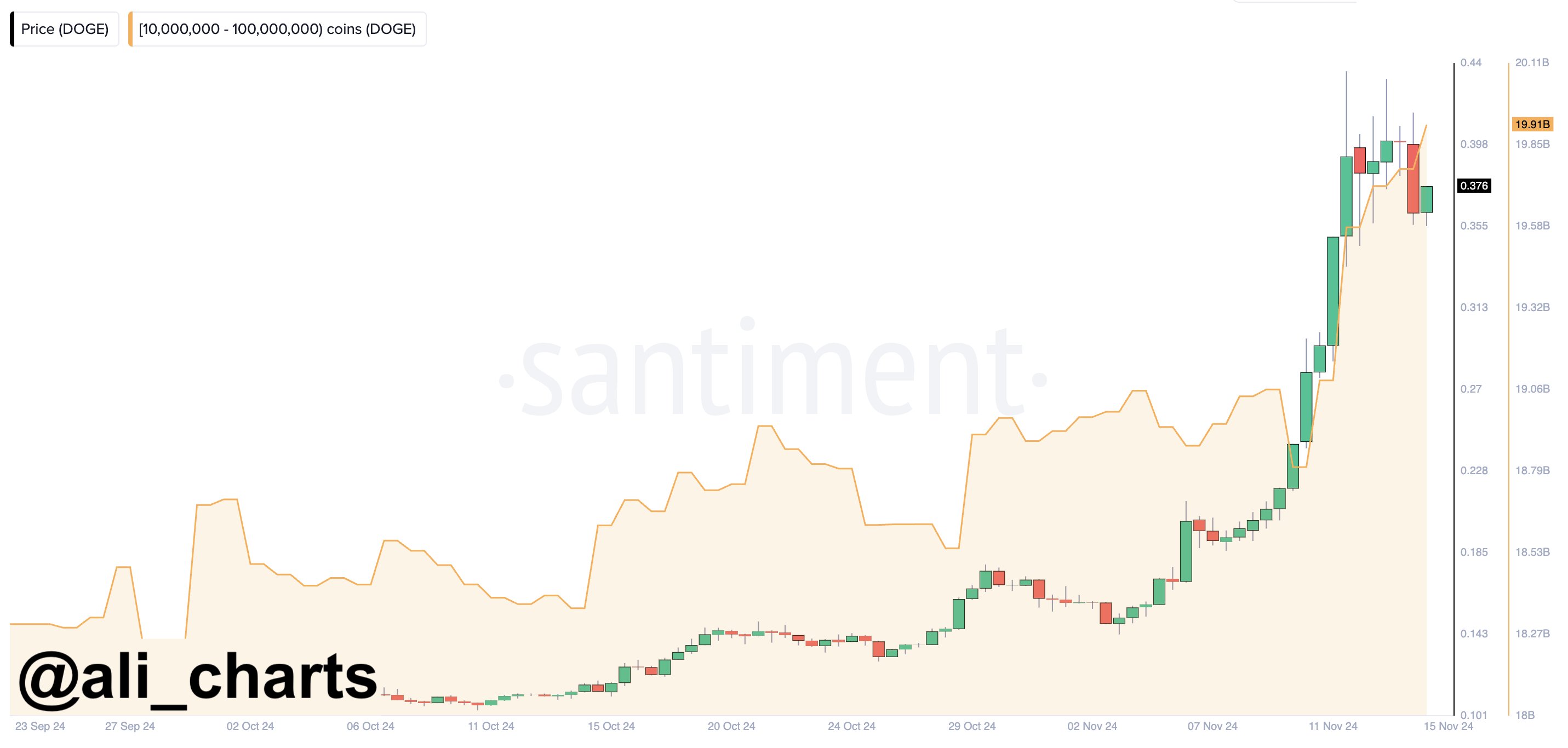 Dogecoin Whale Accumulation