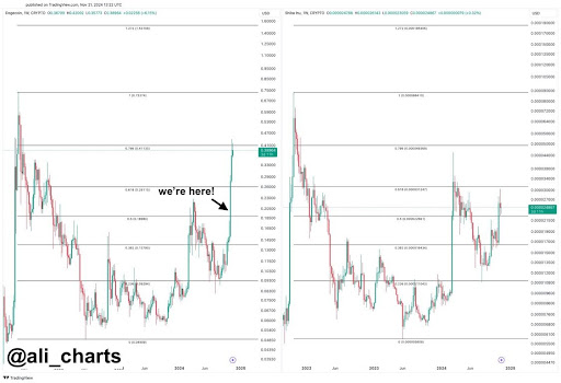 Dogecoin price