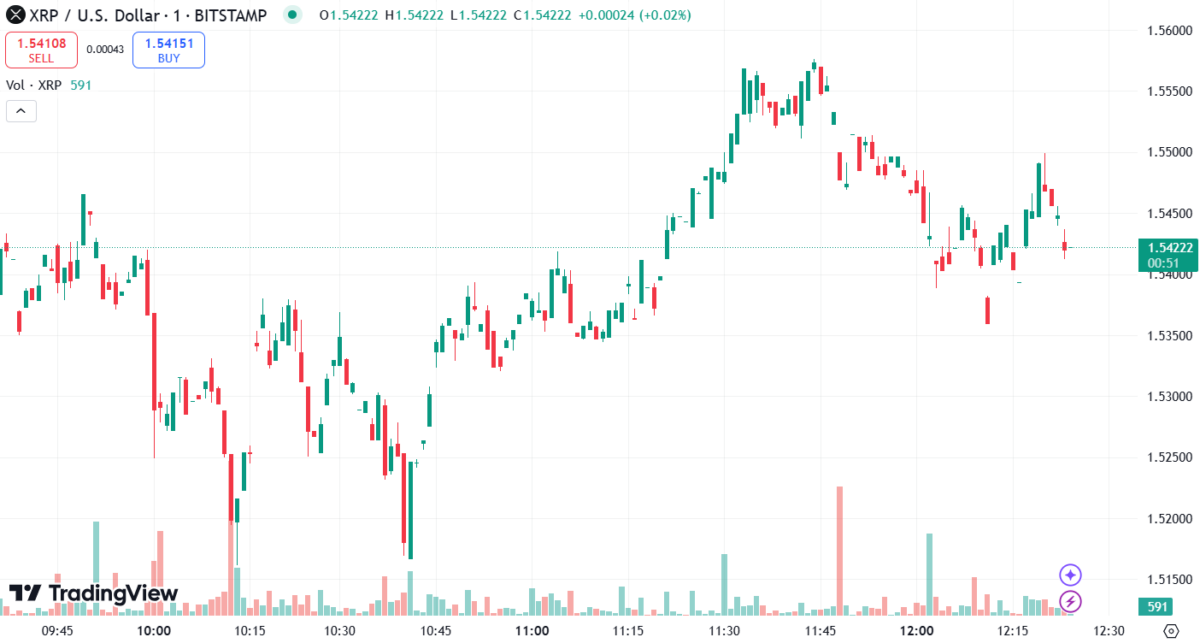 XRP won't drop below $1 again, says millionaire mentor 'The Bearable Bull'