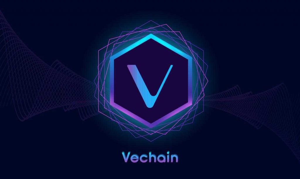 vechain vet