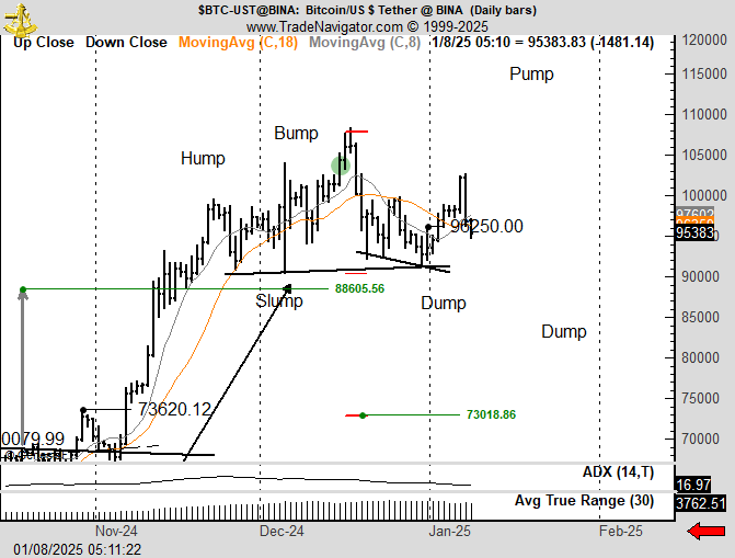 Bitcoin 1D Chart Peter Brandt