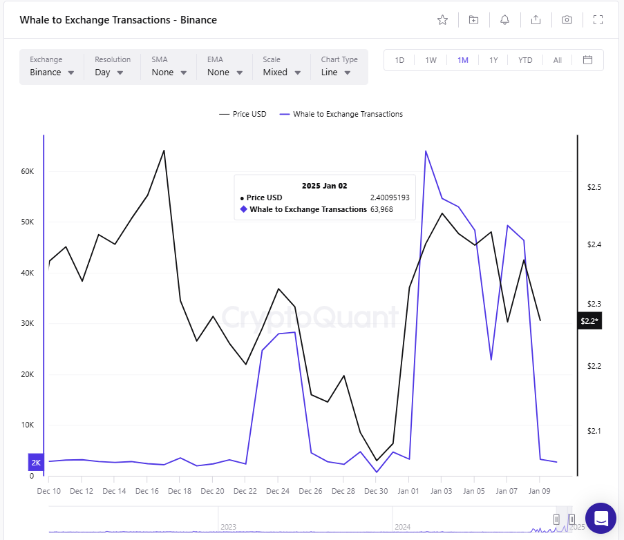 XRP Binance whale transaction chart