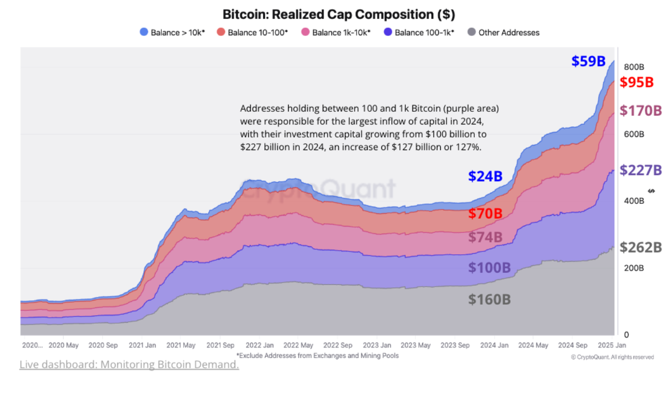 Bitcoin realized cap composition