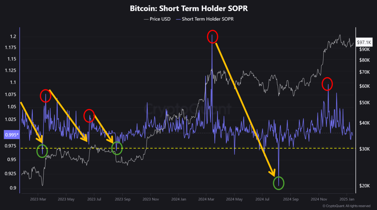 Bitcoin SOPR chart analysis